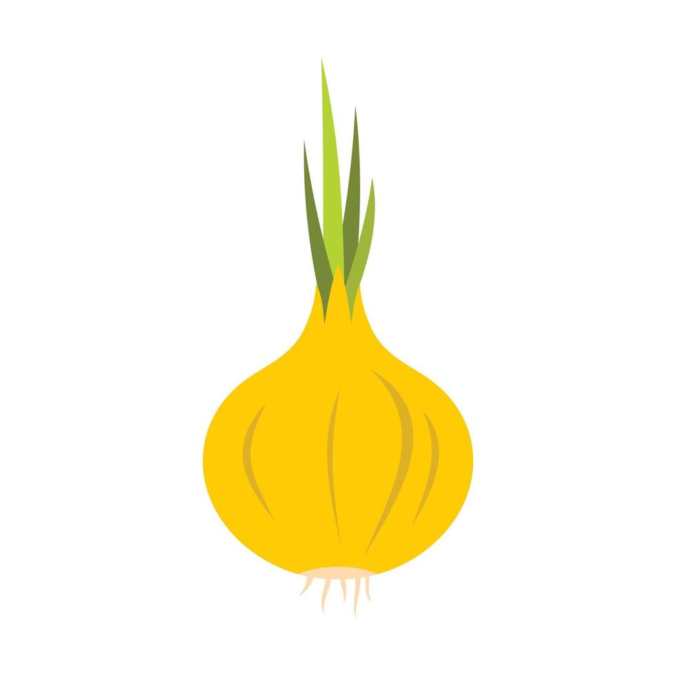 Onion icon in flat style vector