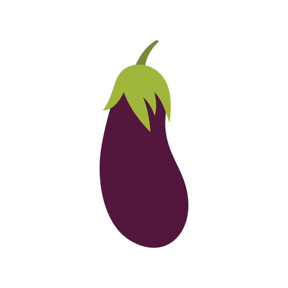 Eggplant icon in flat style vector