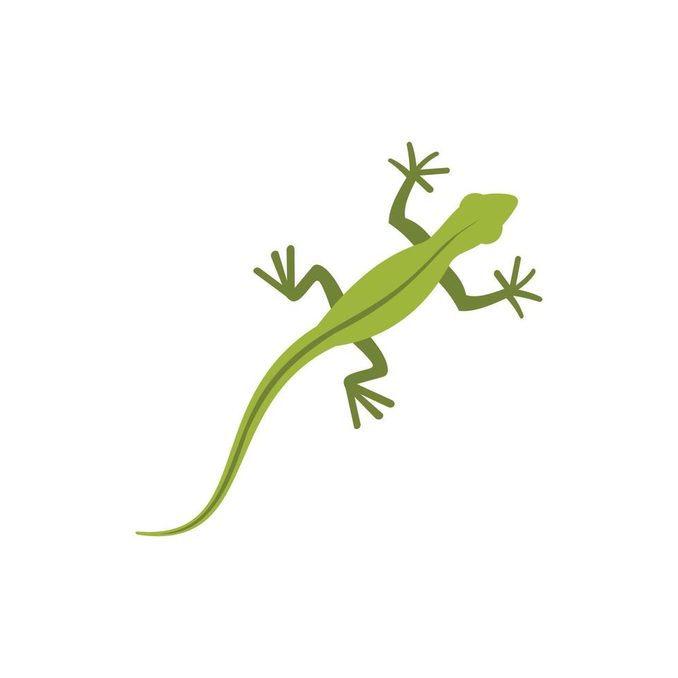 Lizard icon in flat style vector