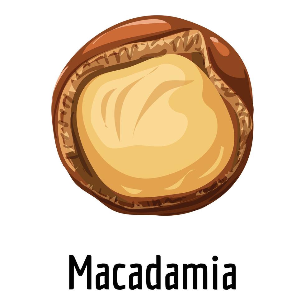 Macadamia icon, cartoon style vector