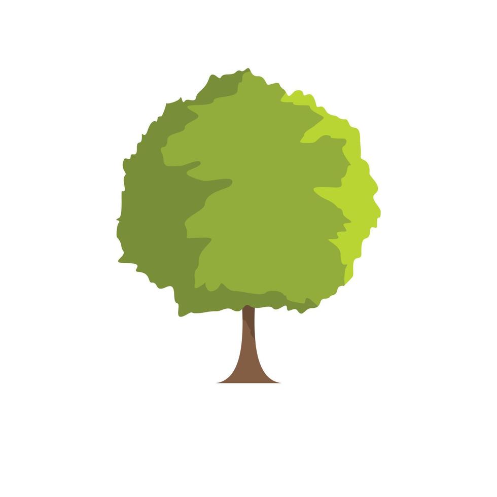 Beech tree icon, flat style vector