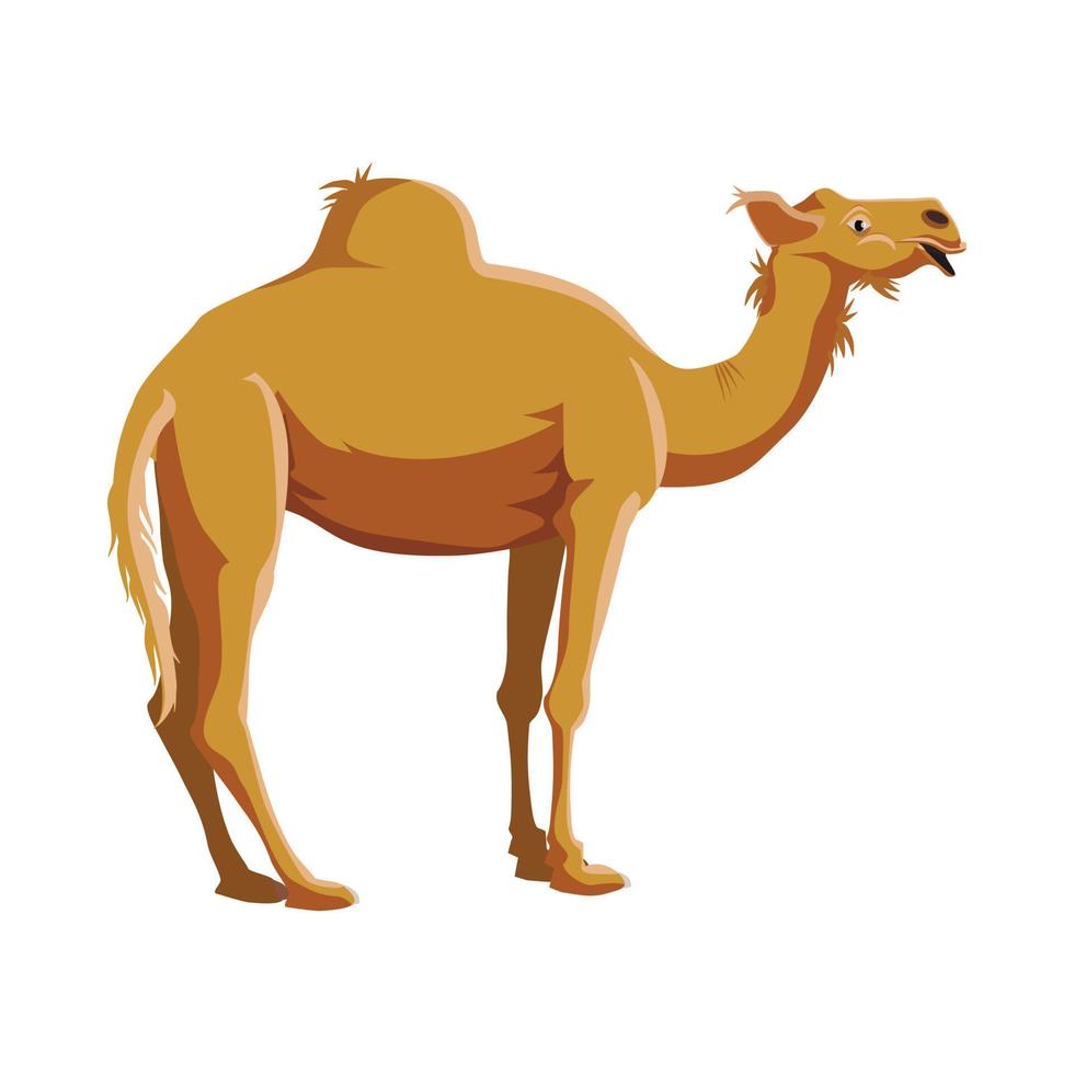 Camel icon in cartoon style vector