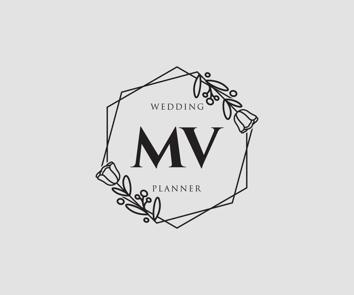 Initial MV feminine logo. Usable for Nature, Salon, Spa, Cosmetic and Beauty Logos. Flat Vector Logo Design Template Element.