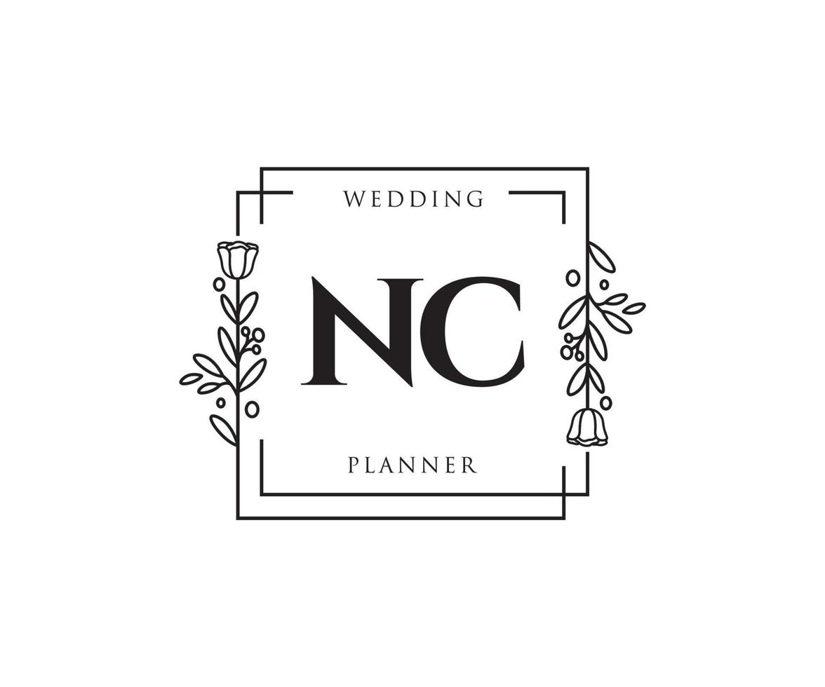 Initial NC feminine logo. Usable for Nature, Salon, Spa, Cosmetic and Beauty Logos. Flat Vector Logo Design Template Element.