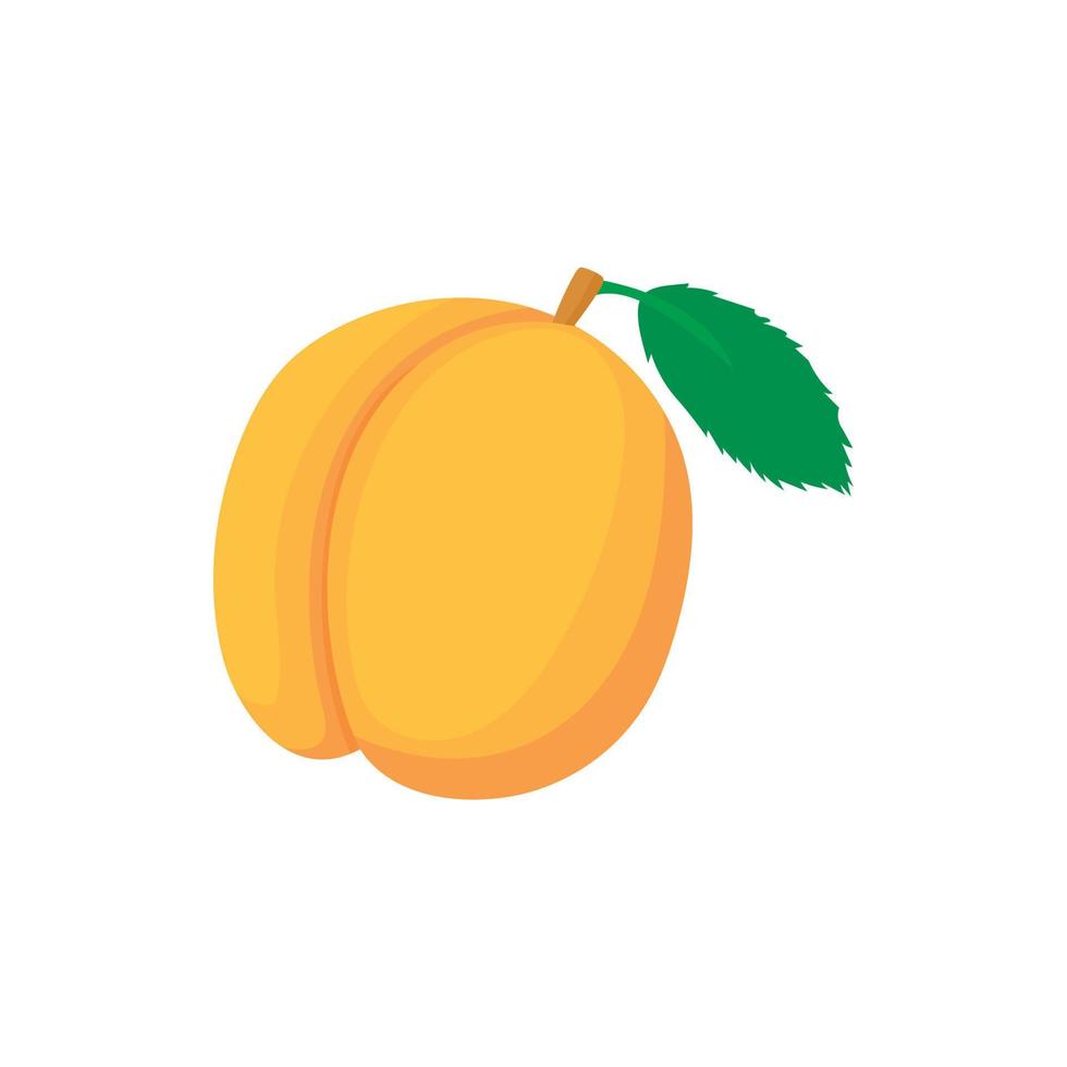 Fresh apricot icon in cartoon style vector