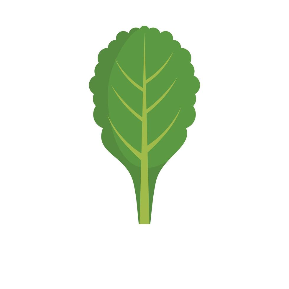 Spinach icon, flat style. vector