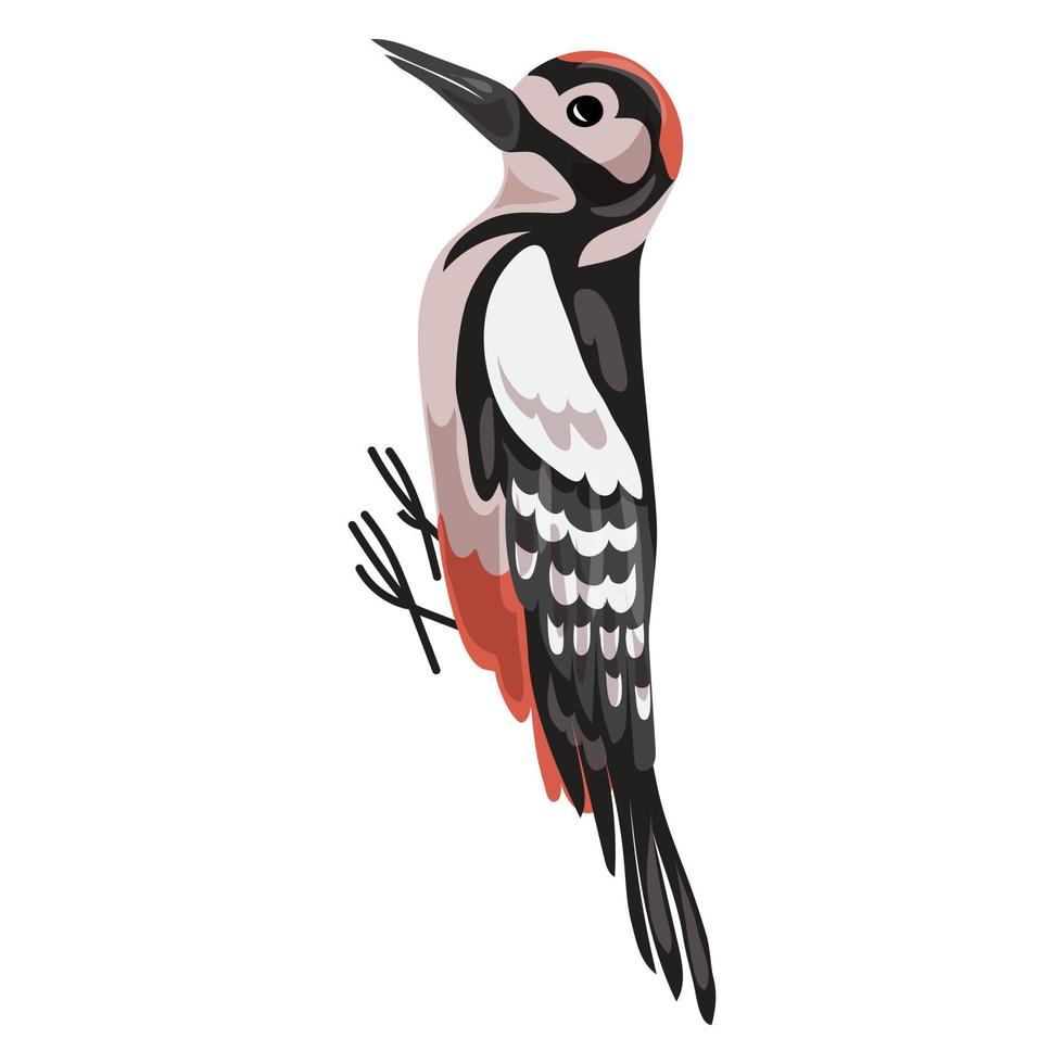 icono de pájaro carpintero, estilo de dibujos animados vector