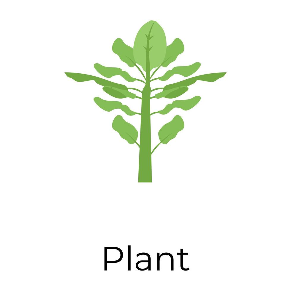 Trendy Plant Concepts vector