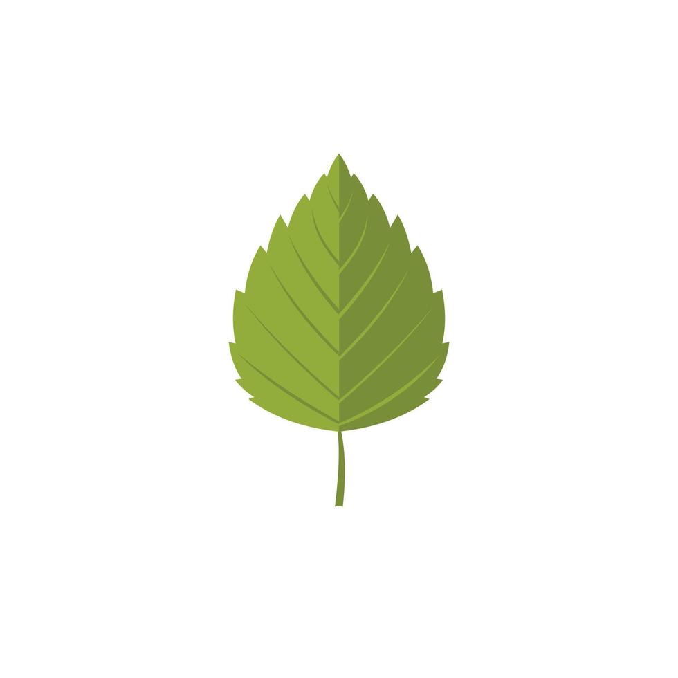 Birch leaf icon, flat style vector