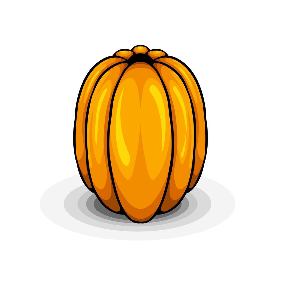 pumpkin isolated on white background vector
