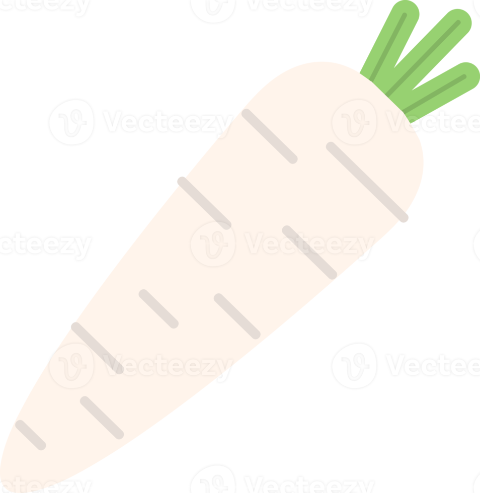 Hand drawn style drawing white radish png