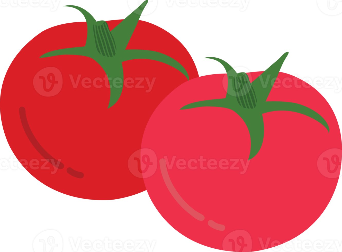 Hand drawn style drawing tomato 14455766 PNG