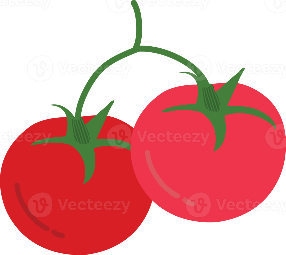 Hand drawn style drawing tomato png