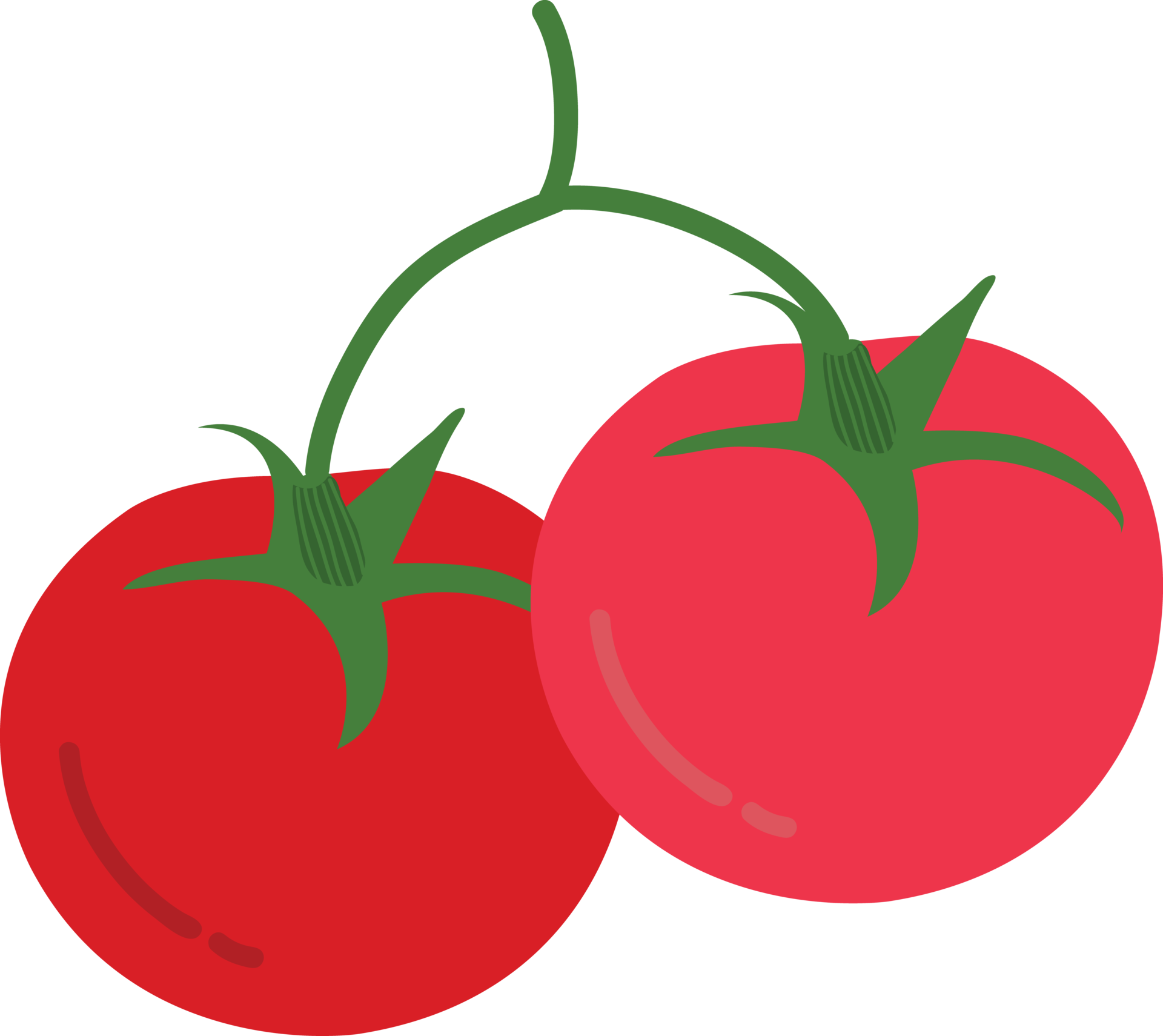 Hand drawn style drawing tomato 14455767 PNG