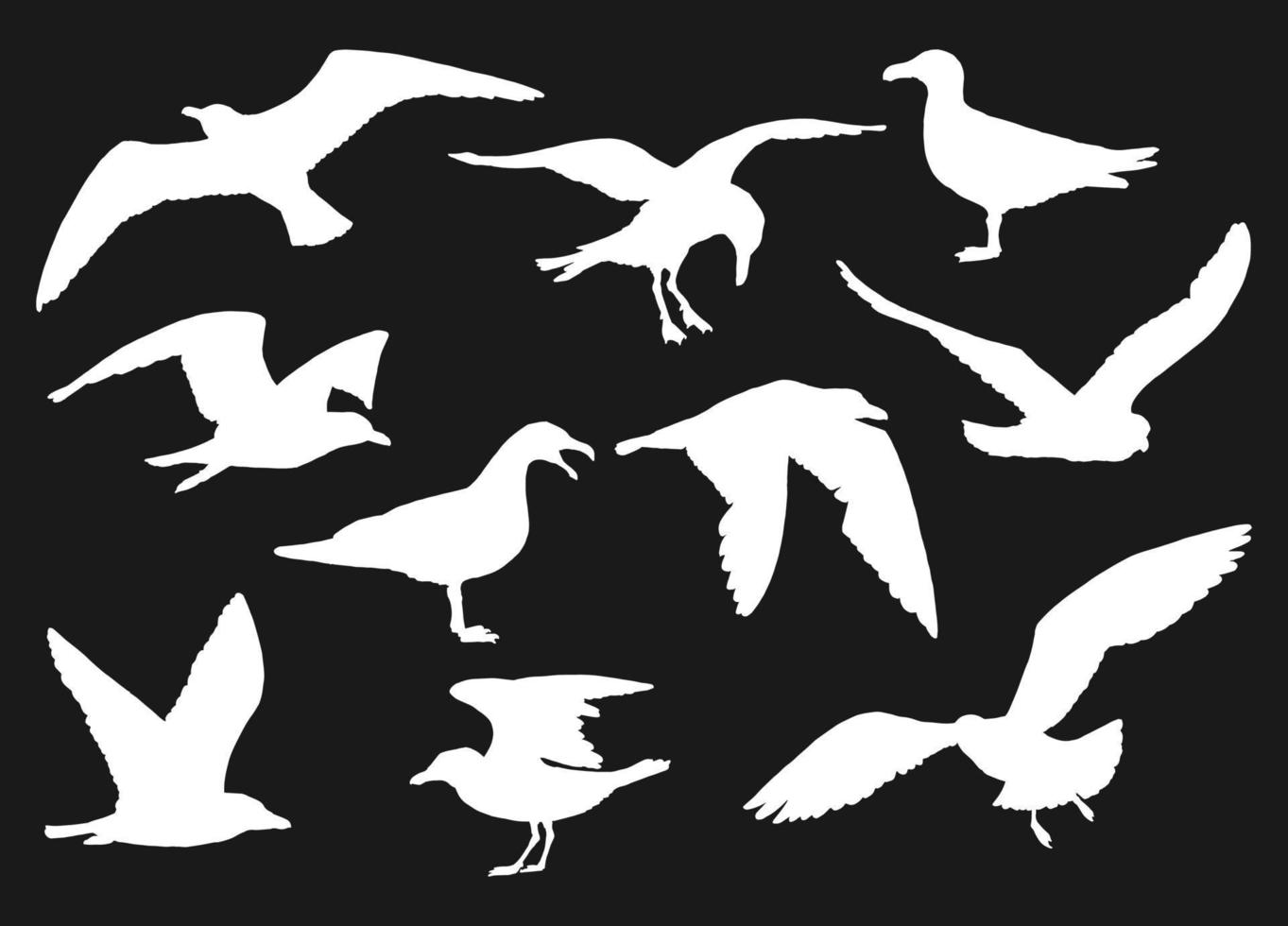 Set of silhouette of flying seagulls. Hand drawn illustration converted to vector. vector