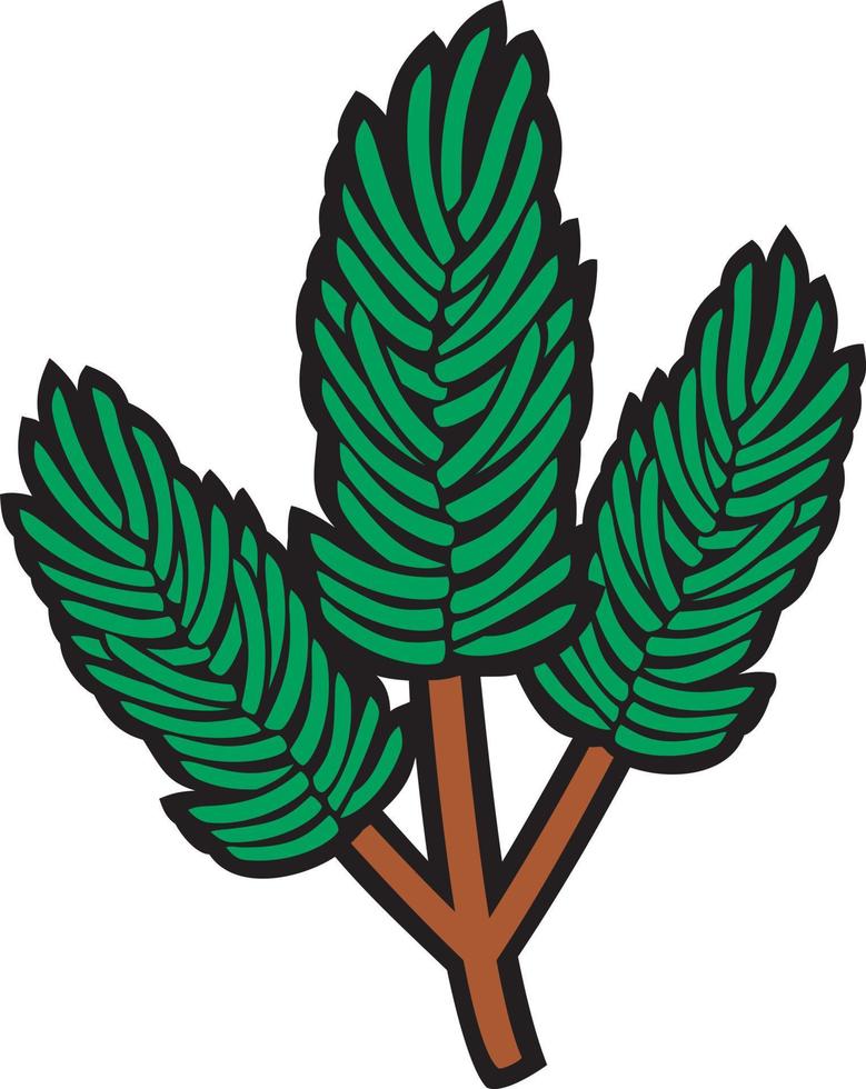 Pine Branch Color Vector Illustration