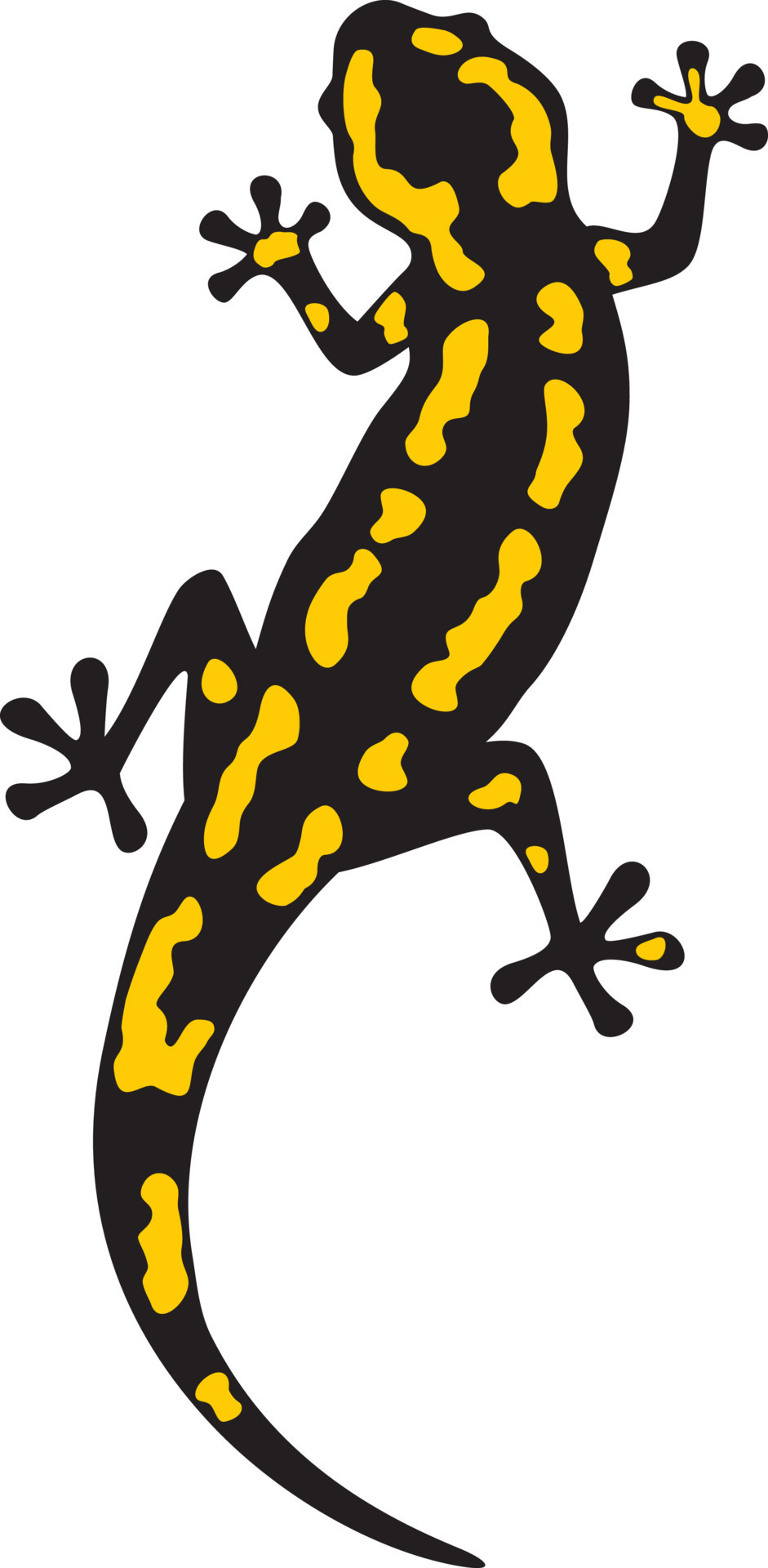 Fire Salamander Animal Color. Vector Illustration. 14456816 Vector Art at  Vecteezy