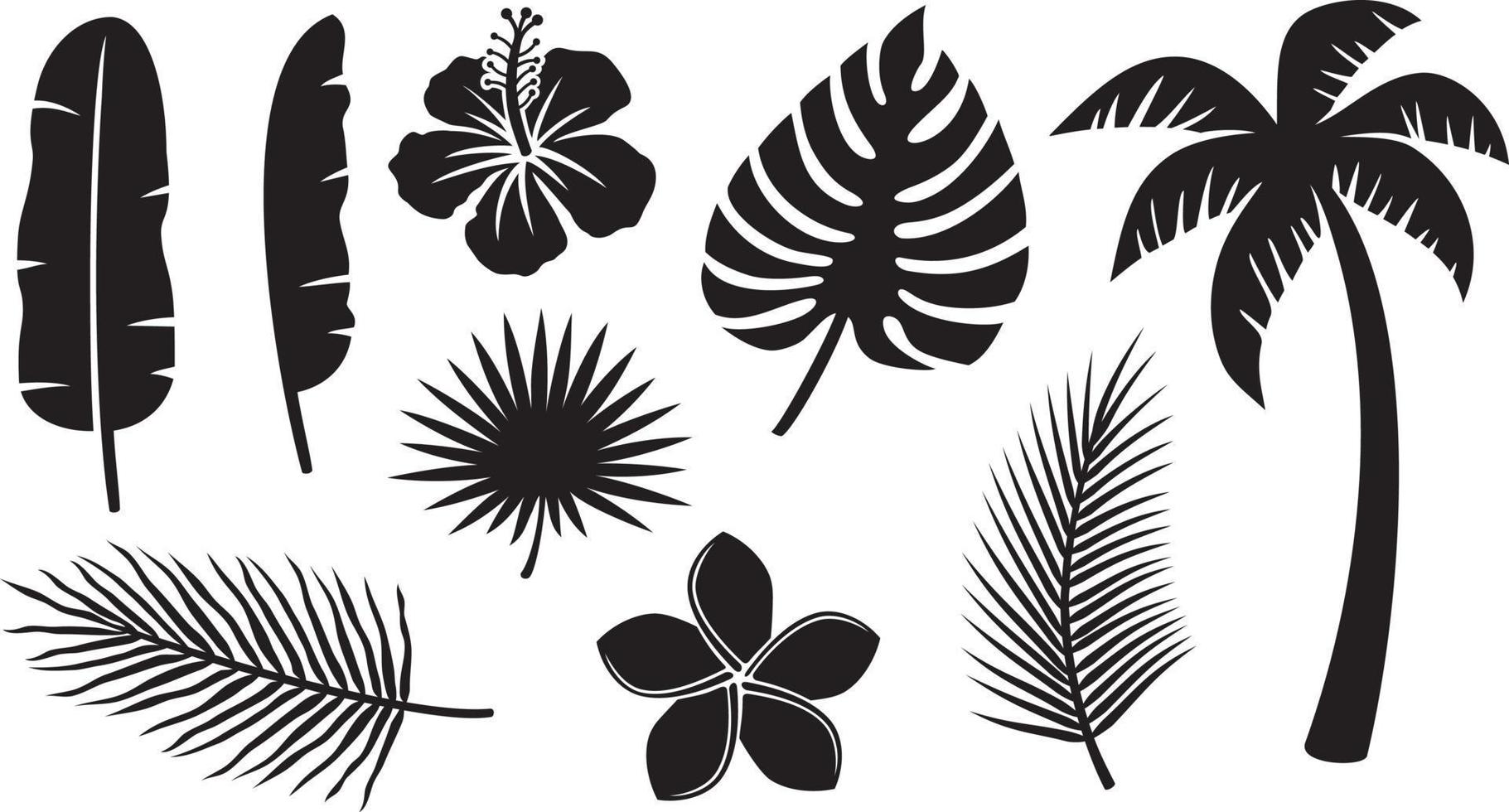 Tropical Plants Icons Collection - Hibiscus, Banana Leaf, Palm Tree,  Monstera, Frangipani Flower. Vector Illustration.