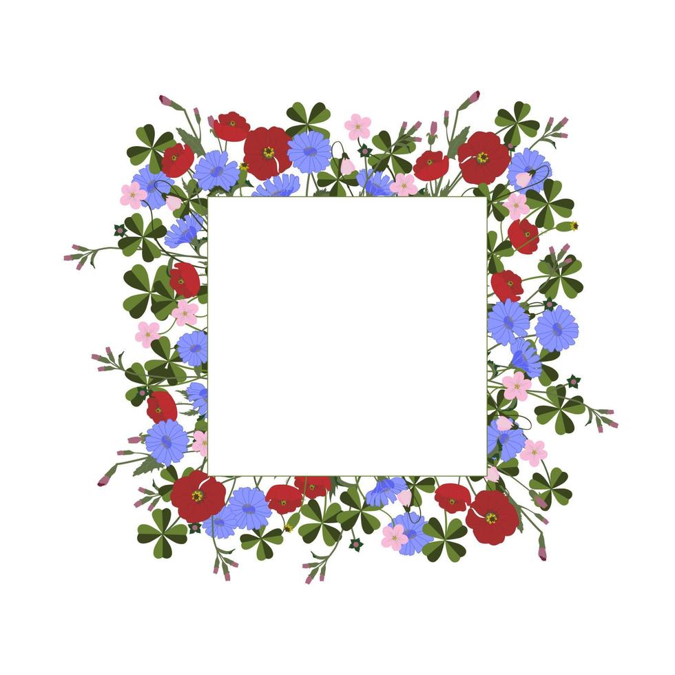 Square frame wild herbs and flowers  with white place for text in the middle vector