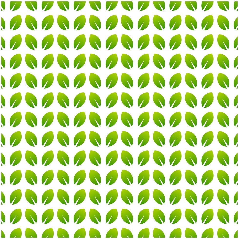 pattern green leaf   background template vector