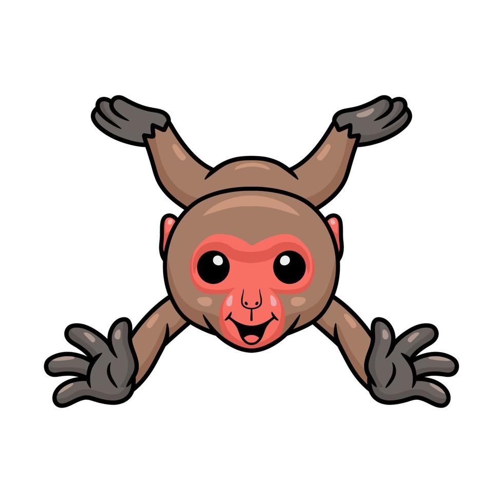 Cute little japanese macaque cartoon leaping vector