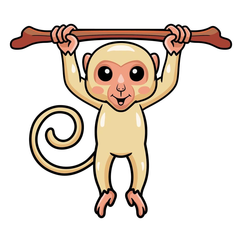 Cute little albino monkey cartoon hanging on tree branch vector