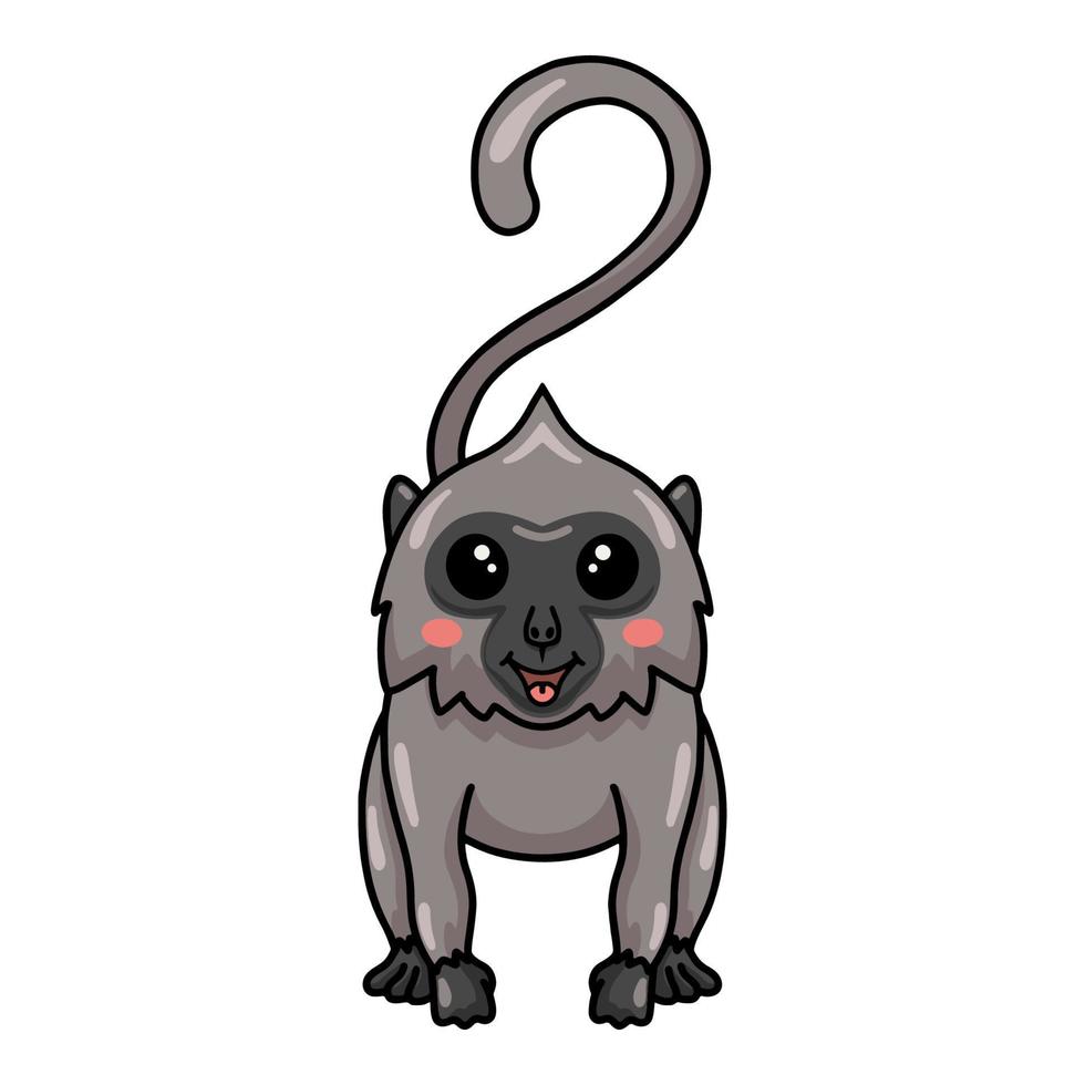 lindo pequeño mono langur gris de dibujos animados vector