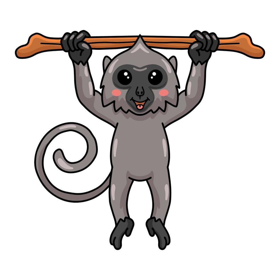 Cute little grey langur monkey cartoon hanging on tree branch vector