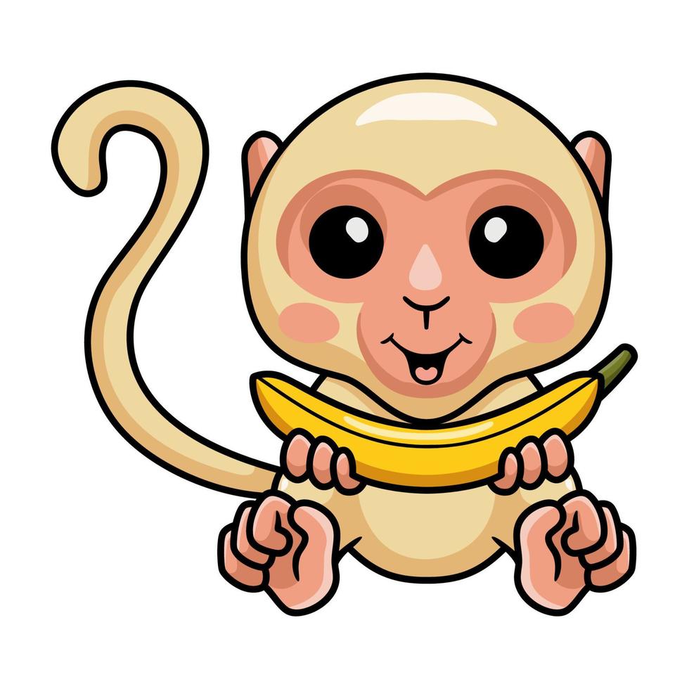 Cute little albino monkey cartoon holding a banana vector