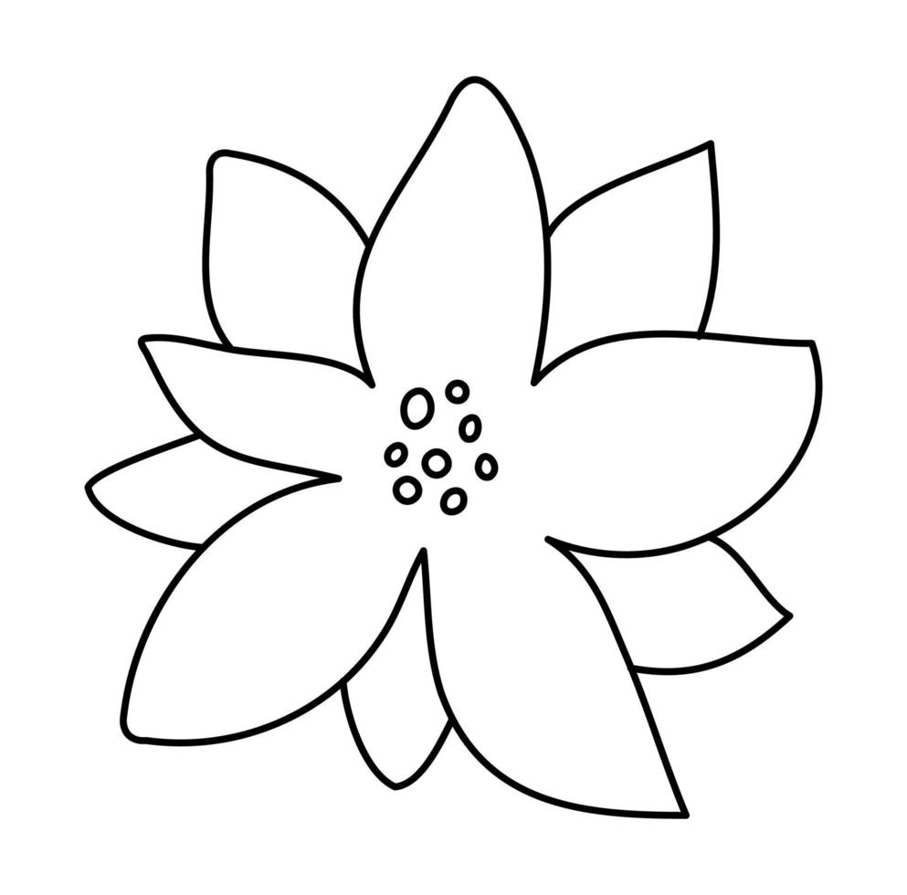 Hand drawn Vector Poinsettia flowers lines icon for Christmas or New Year greeting card design. Plant with star flower and leaf for Xmas winter holiday decoration