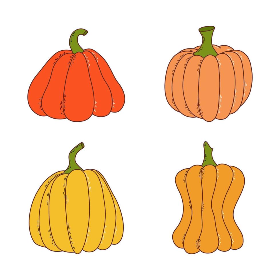 conjunto de calabazas de varias formas y colores. elementos de acción de gracias y halloween. ilustración vectorial en estilo dibujado a mano vector