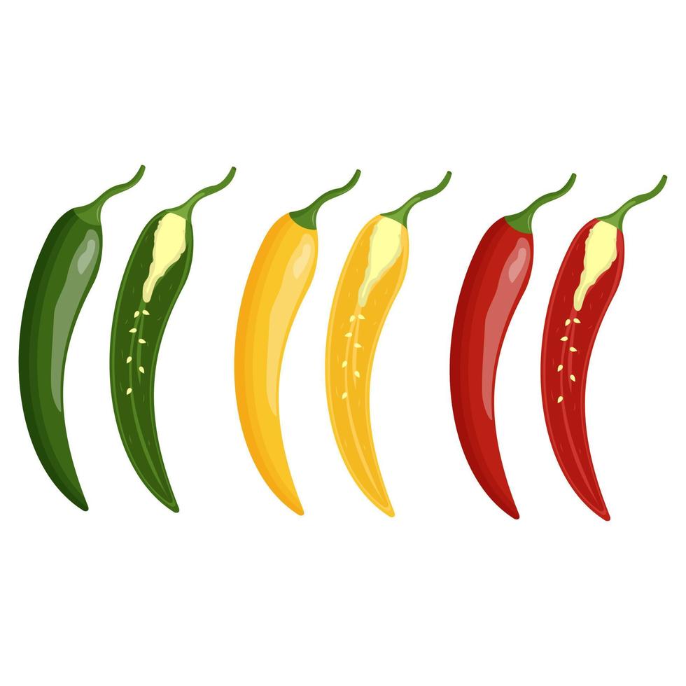 Set of red, yellow and green chili peppers isolated on white background. Flat vector illustration
