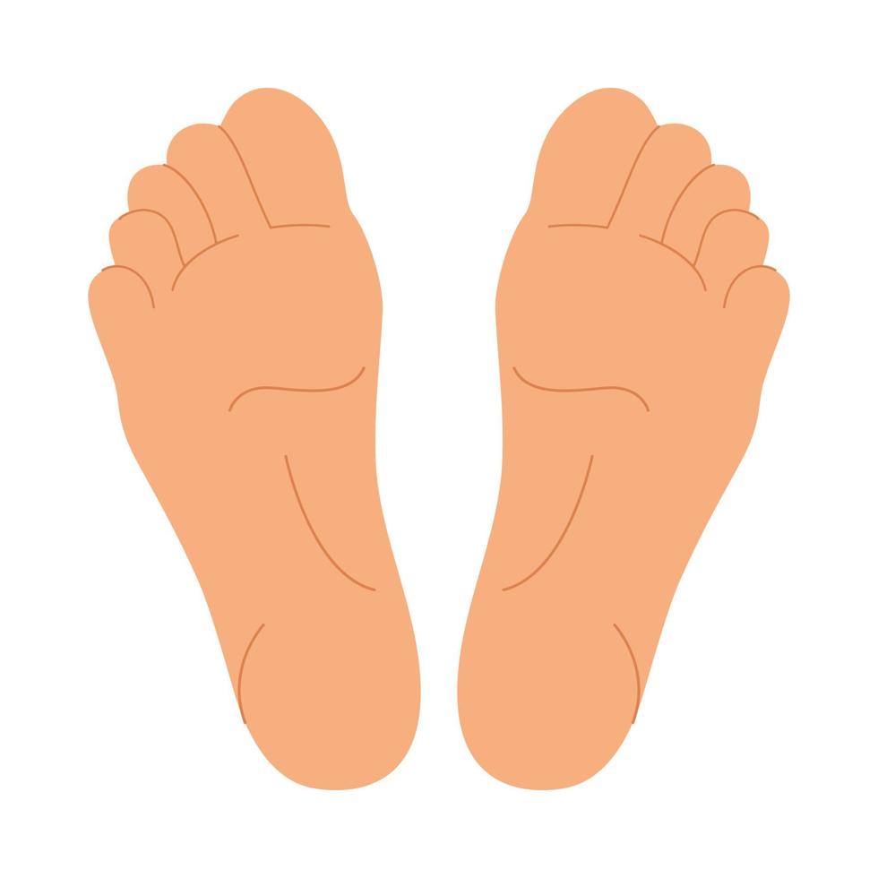 Flat feet for your design. Simple silhouette of foots isolated on white background. Pedicure, podology, acupuncture , size table template. People legs vector illustration.