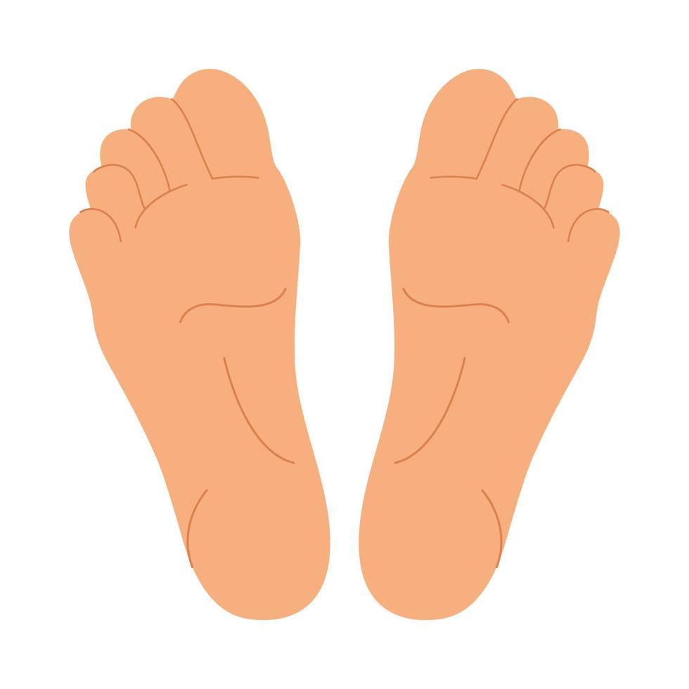 Flat feet for your design. Simple silhouette of foots isolated on white background. Pedicure, podology, acupuncture , size table template. People legs vector illustration.