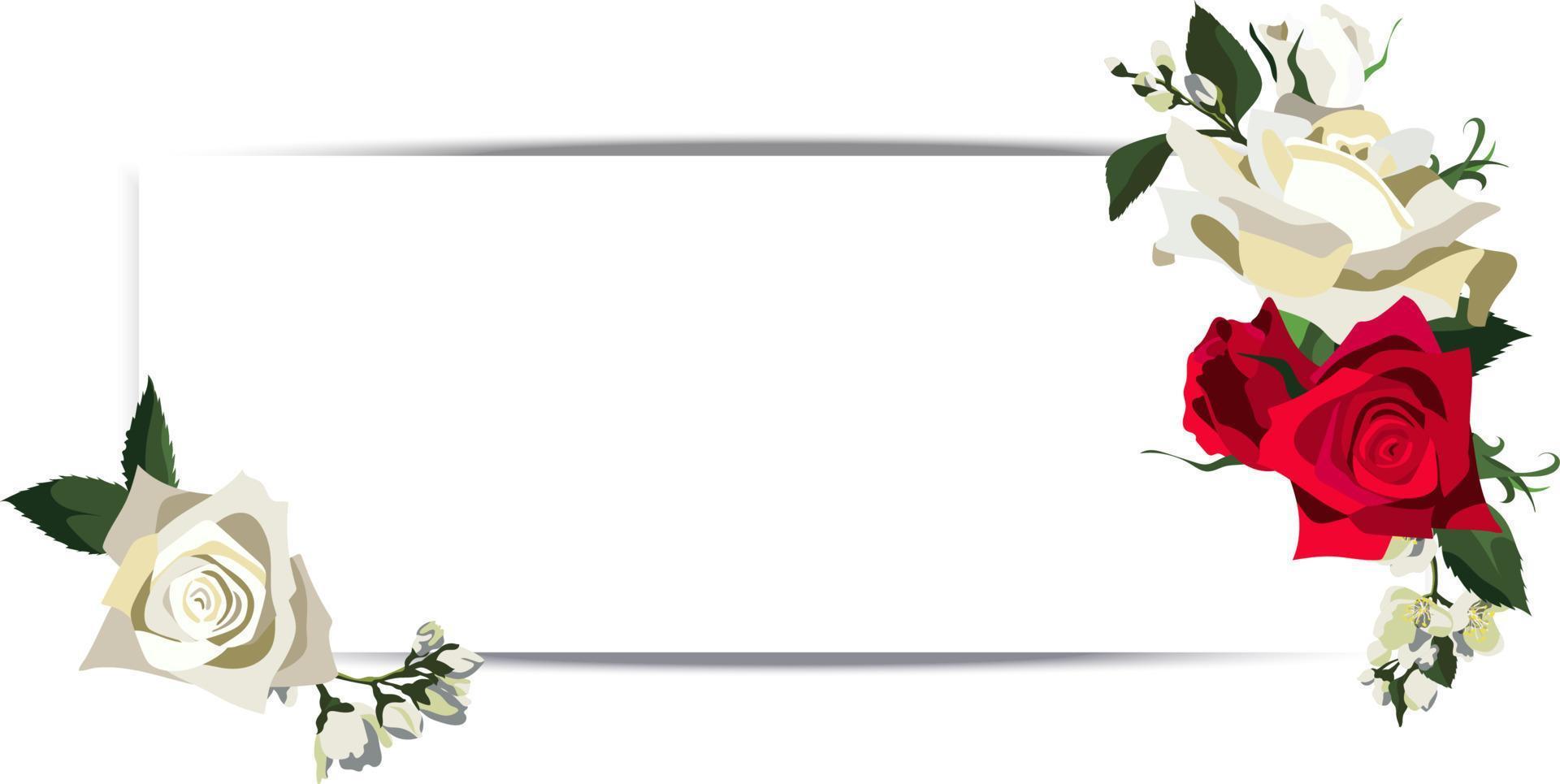 banner de boda vectorial con rosas rojas y blancas y flores de jazmín vector