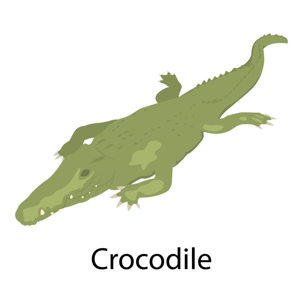 Crocodile icon, isometric style vector