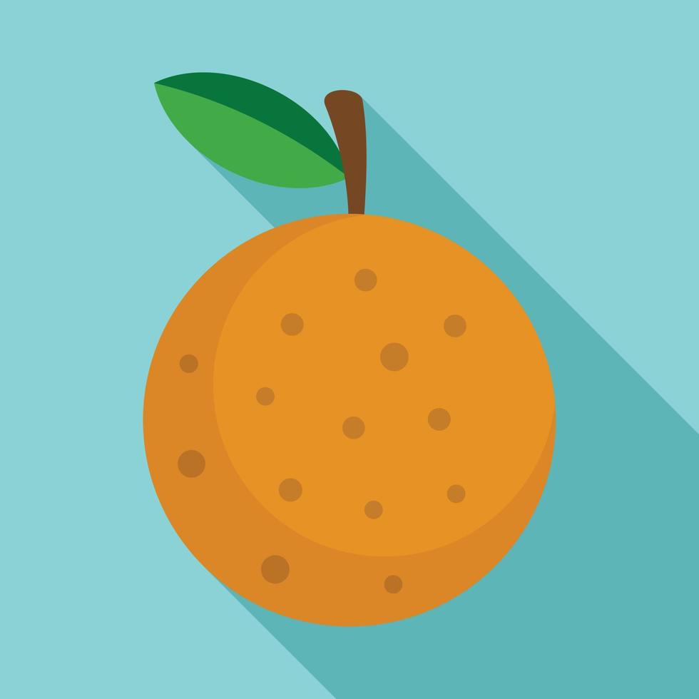 Whole longan icon, flat style vector