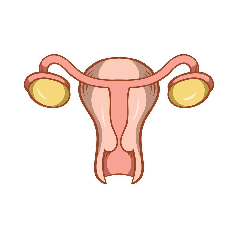 Uterus and ovaries icon, cartoon style vector