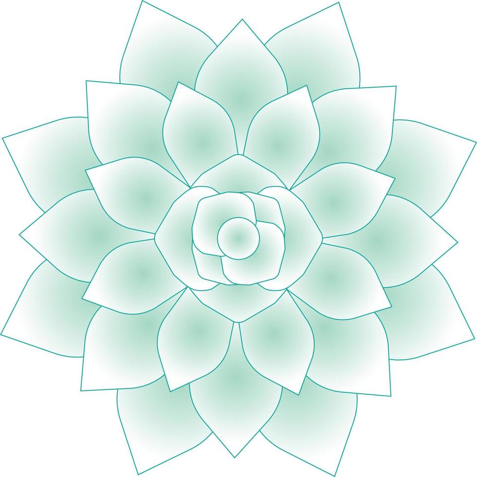 Vector succulent flower