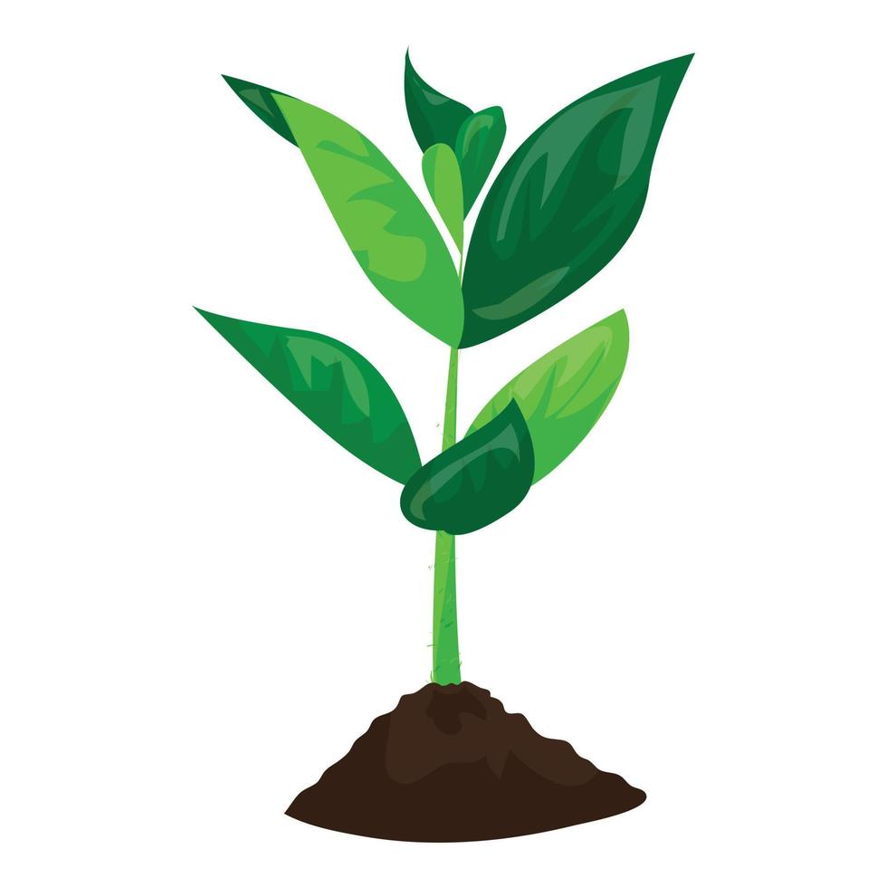 Soybean plant in ground icon, cartoon style vector