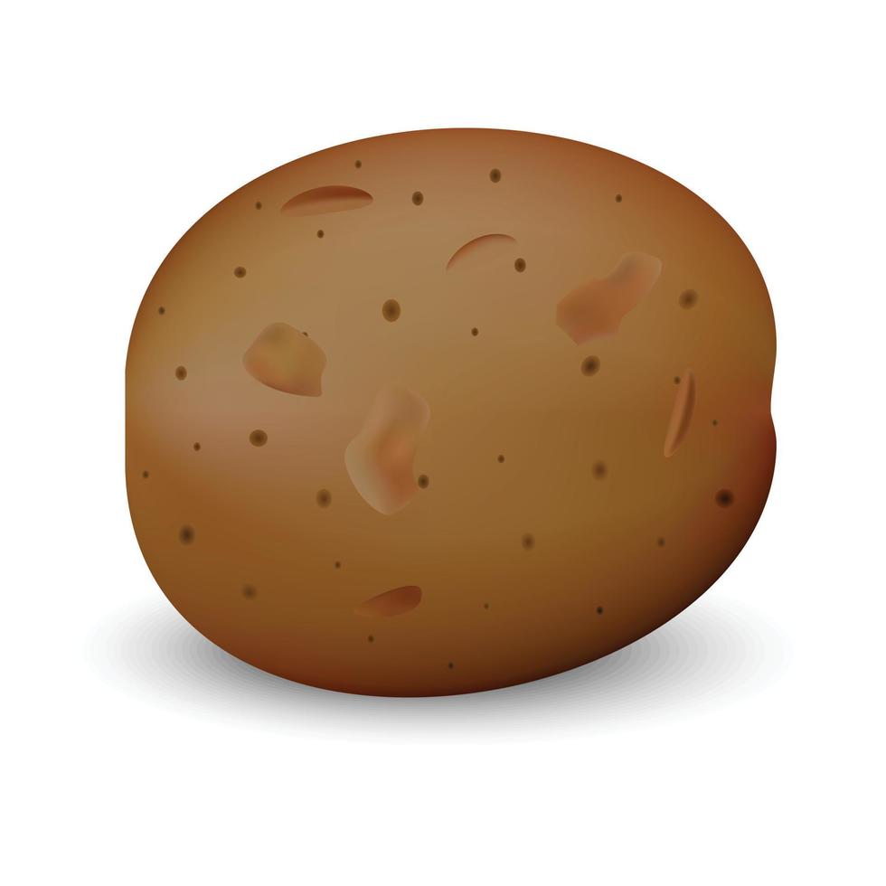 Brown potato mockup, realistic style vector