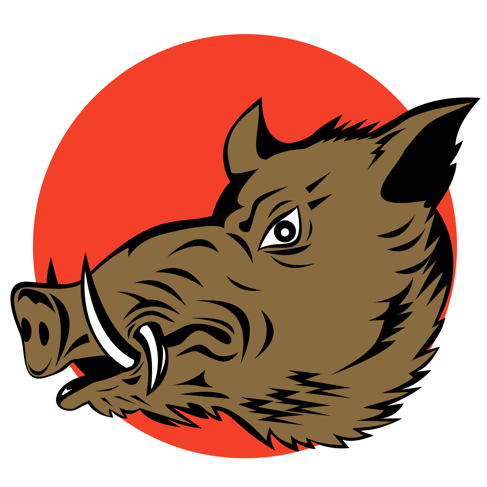 Wild Pig Boar Head 14463803 PNG