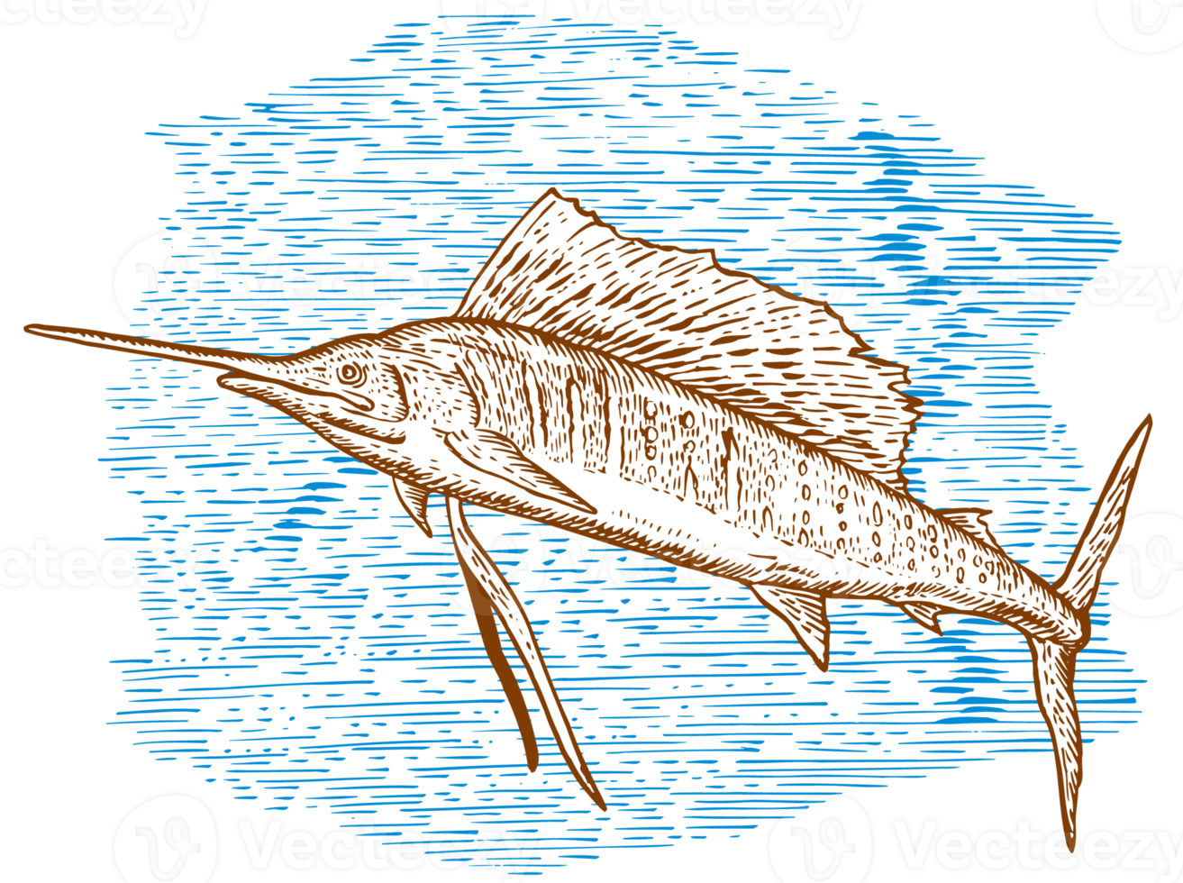 Sailfish Fish Jumping Sketch png