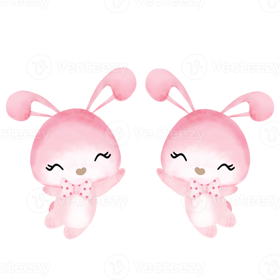 cute Twin bunny jumping happy and smile png