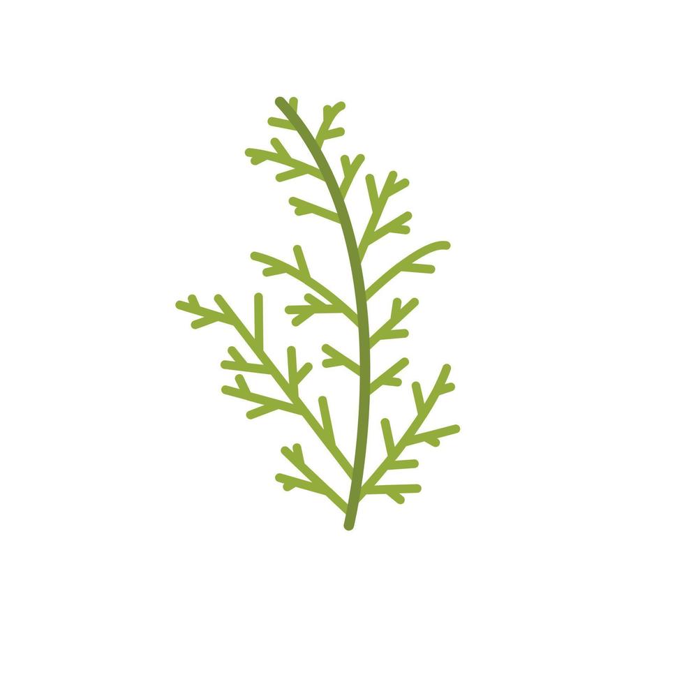 icono de hoja de ciprés, estilo plano vector