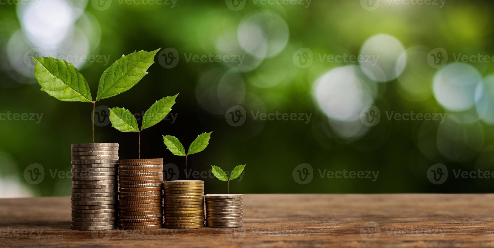 Money growing concept,Business success concept,Trees growing on pile of coins money in sun light photo