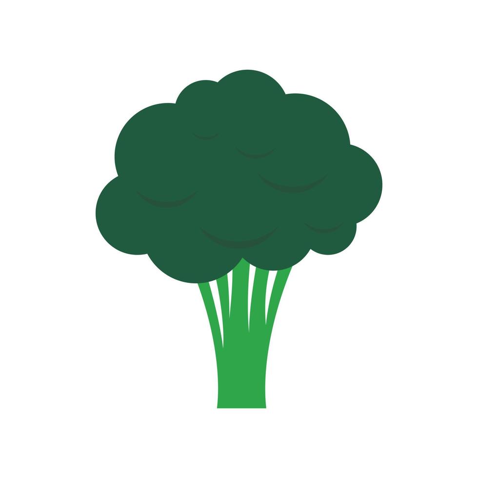 Broccoli icon in flat style vector