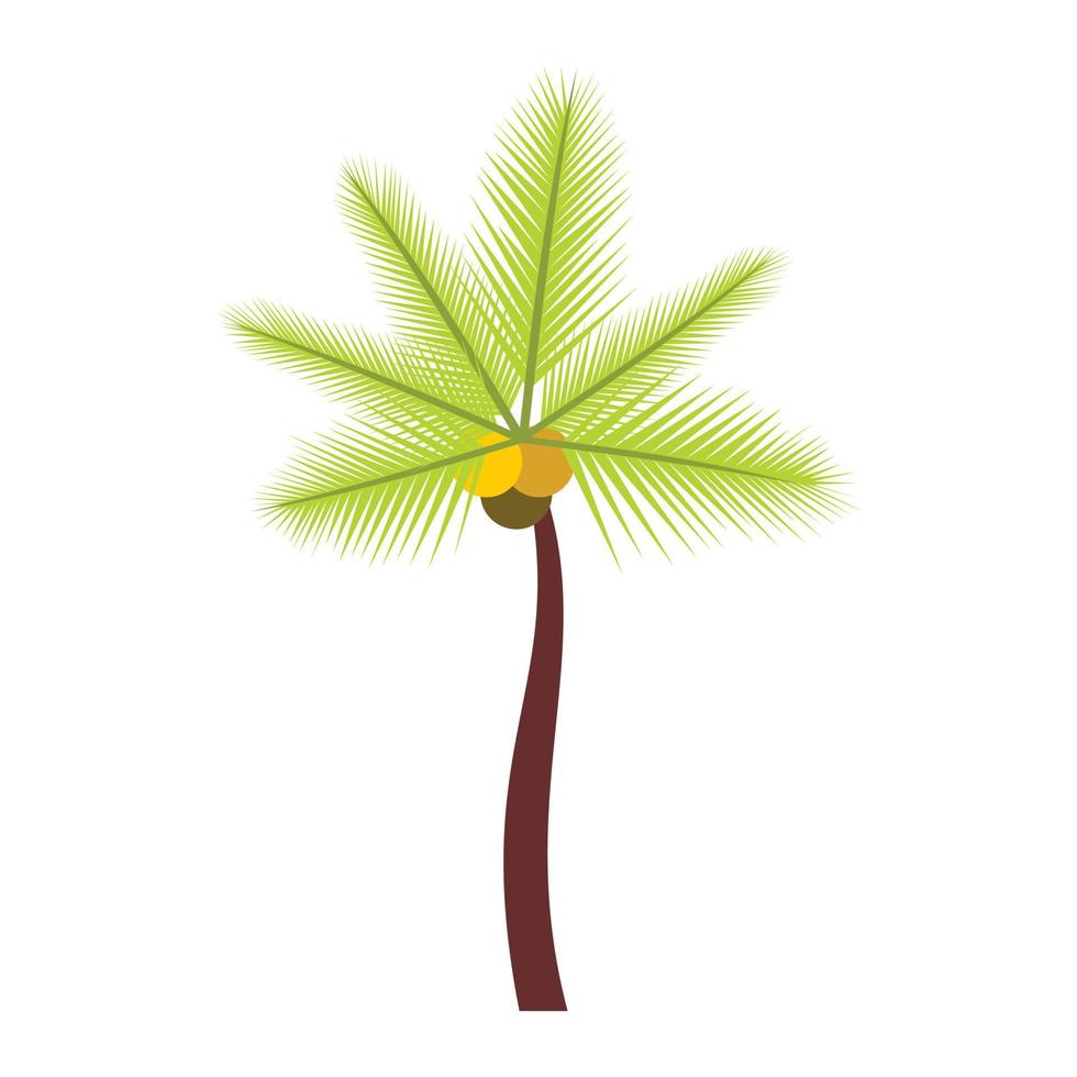 Palm butia capitata icon, flat style vector