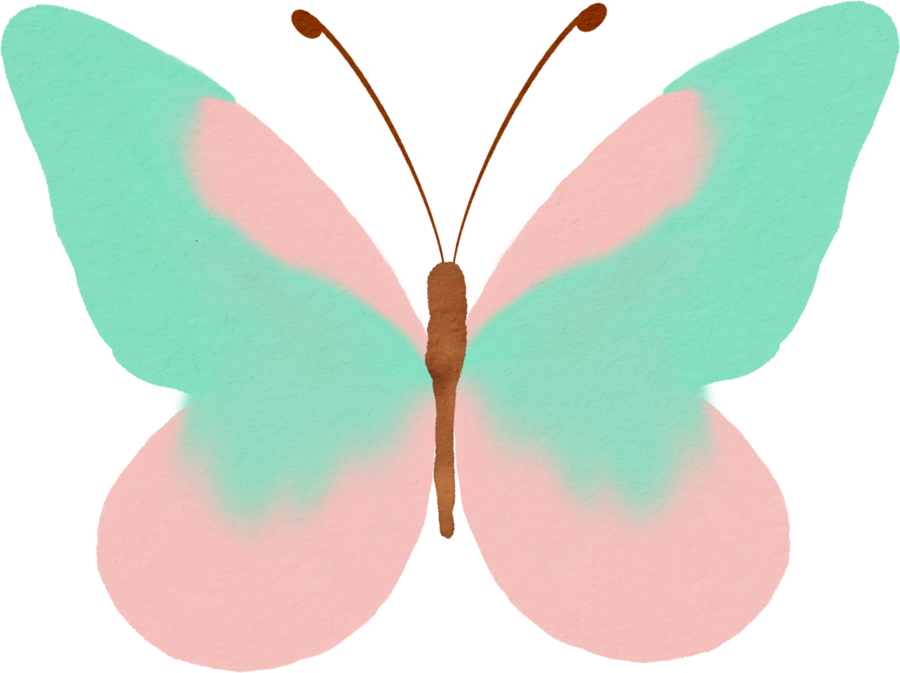 cor de água borboleta png