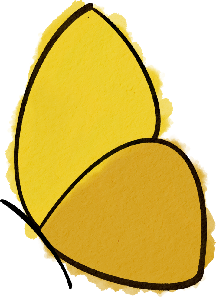 butterfly water colour png